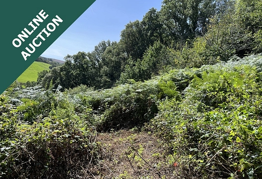 Loddiswell, Kingsbridge, TQ7 – Luscombe Maye