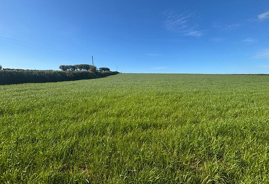 East Allington, Totnes – Luscombe Maye
