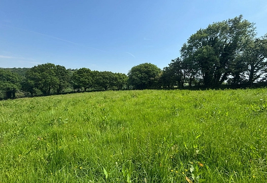 LOT 3 Badworthy, South Brent TQ10 – Luscombe Maye