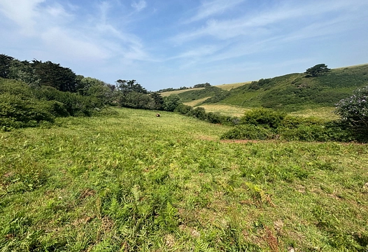 Inner Hope, Hope Cove – Luscombe Maye