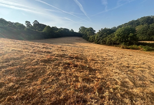Bickington, Newton Abbot – Luscombe Maye