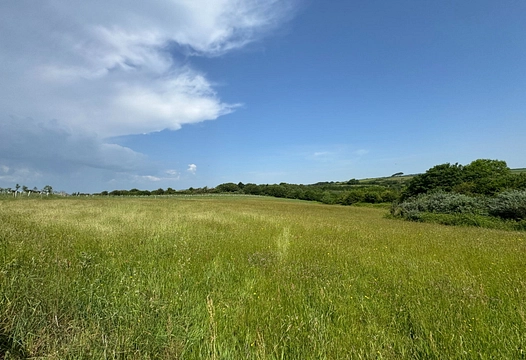 Loddiswell, Kingsbridge – Luscombe Maye