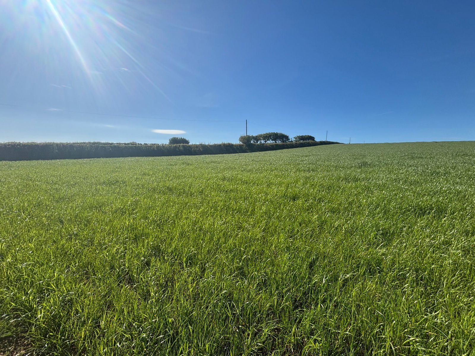 East Allington, Totnes
