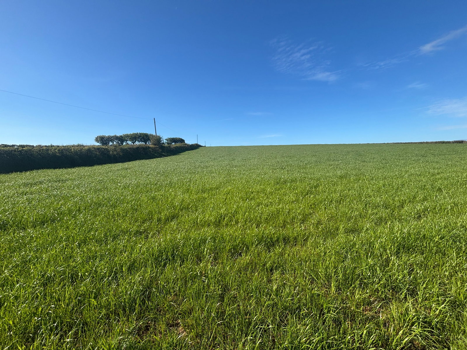 East Allington, Totnes