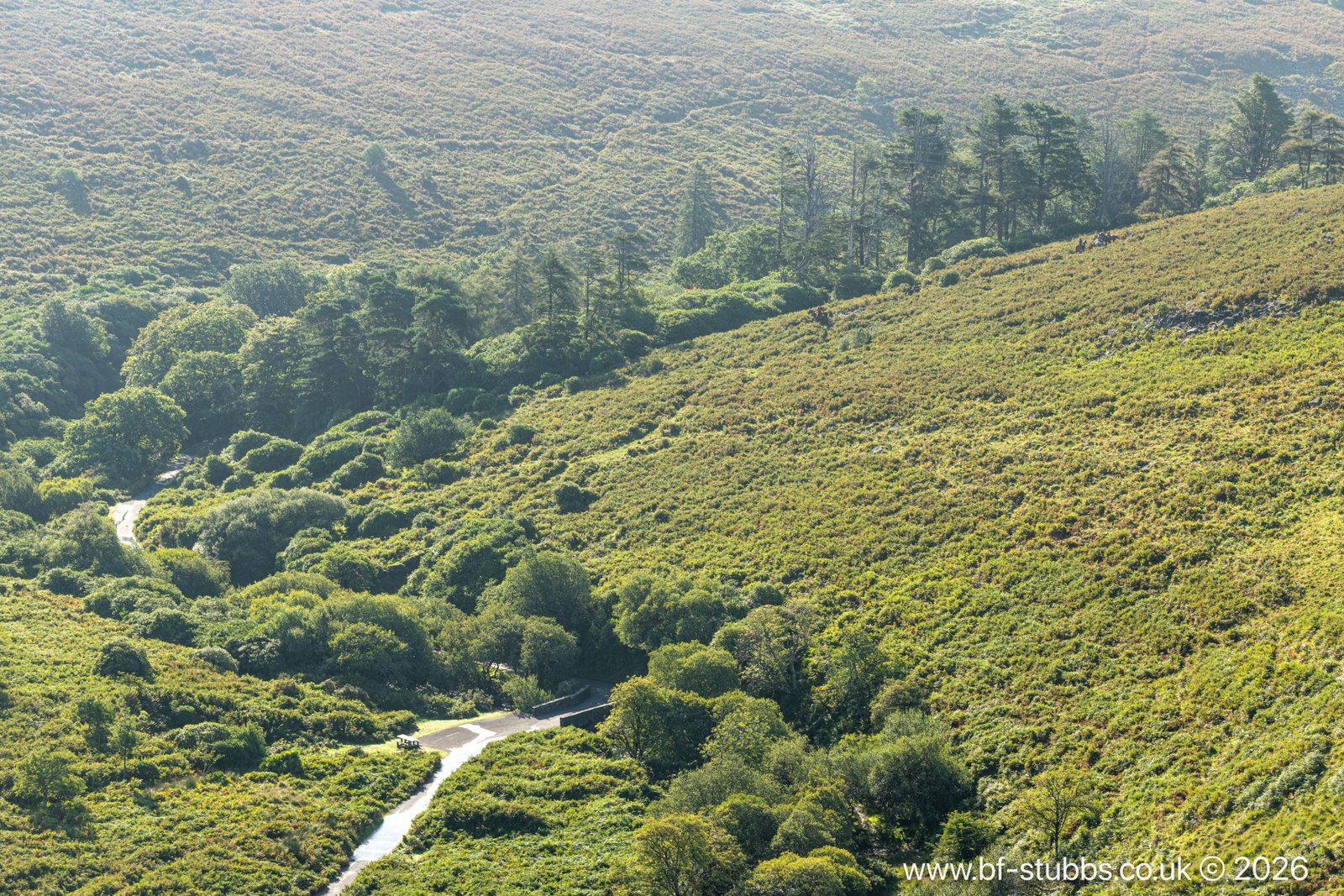 LOT 2 - Didworthy, Dartmoor, South Brent