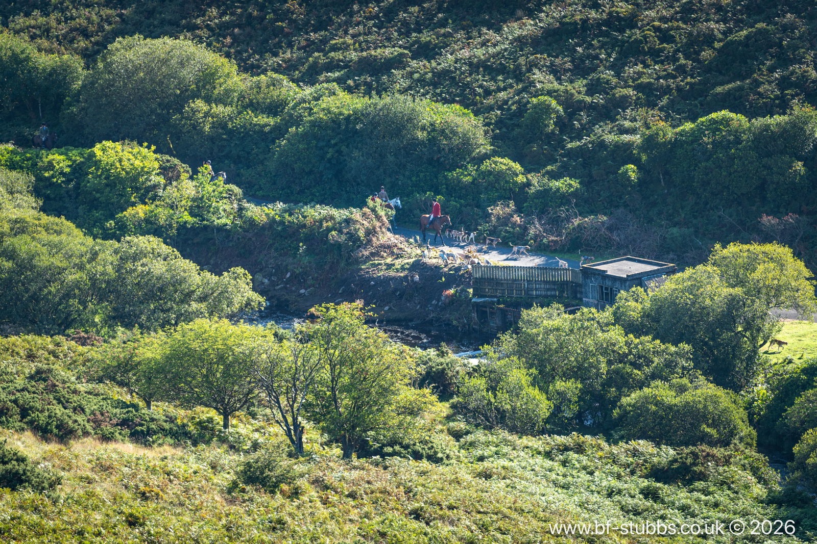 LOT 2 - Didworthy, Dartmoor, South Brent