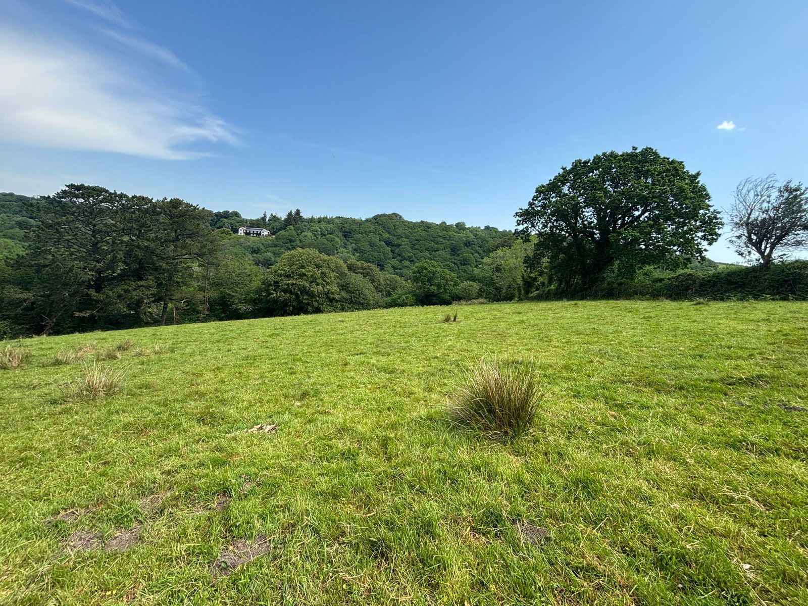 LOT 2 Badworthy, South Brent TQ10